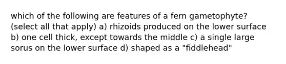 which of the following are features of a fern gametophyte? (select all that apply) a) rhizoids produced on the lower surface b) one cell thick, except towards the middle c) a single large sorus on the lower surface d) shaped as a "fiddlehead"