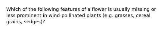 Which of the following features of a flower is usually missing or less prominent in wind-pollinated plants (e.g. grasses, cereal grains, sedges)?