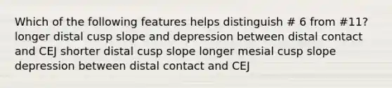 Which of the following features helps distinguish # 6 from #11? longer distal cusp slope and depression between distal contact and CEJ shorter distal cusp slope longer mesial cusp slope depression between distal contact and CEJ