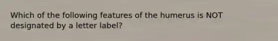 Which of the following features of the humerus is NOT designated by a letter label?