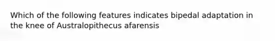 Which of the following features indicates bipedal adaptation in the knee of Australopithecus afarensis