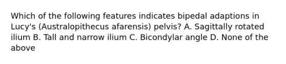 Which of the following features indicates bipedal adaptions in Lucy's (Australopithecus afarensis) pelvis? A. Sagittally rotated ilium B. Tall and narrow ilium C. Bicondylar angle D. None of the above