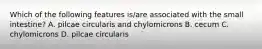 Which of the following features is/are associated with the small intestine? A. pilcae circularis and chylomicrons B. cecum C. chylomicrons D. pilcae circularis