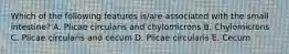 Which of the following features is/are associated with the small intestine? A. Plicae circularis and chylomicrons B. Chylomicrons C. Plicae circularis and cecum D. Plicae circularis E. Cecum