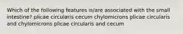 Which of the following features is/are associated with the small intestine? plicae circularis cecum chylomicrons plicae circularis and chylomicrons plicae circularis and cecum