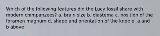 Which of the following features did the Lucy fossil share with modern chimpanzees? a. brain size b. diastema c. position of the foramen magnum d. shape and orientation of the knee e. a and b above