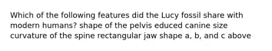 Which of the following features did the Lucy fossil share with modern humans? shape of the pelvis educed canine size curvature of the spine rectangular jaw shape a, b, and c above