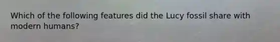 Which of the following features did the Lucy fossil share with modern humans?