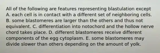 All of the following are features representing blastulation except A. each cell is in contact with a different set of neighboring cells. B. some blastomeres are larger than the others and thus not equivalent. C. differentiation into notochord and the hollow nerve chord takes place. D. different blastomeres receive different components of the egg cytoplasm. E. some blastomeres may divide slower than others depending on the amount of yolk.