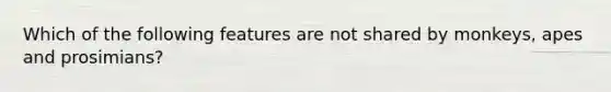 Which of the following features are not shared by monkeys, apes and prosimians?