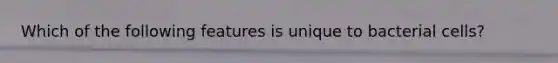 Which of the following features is unique to bacterial cells?