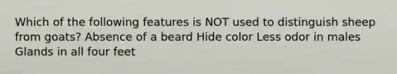 Which of the following features is NOT used to distinguish sheep from goats? Absence of a beard Hide color Less odor in males Glands in all four feet