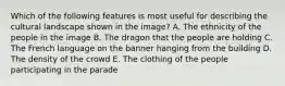 Which of the following features is most useful for describing the cultural landscape shown in the image? A. The ethnicity of the people in the image B. The dragon that the people are holding C. The French language on the banner hanging from the building D. The density of the crowd E. The clothing of the people participating in the parade