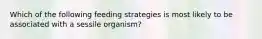 Which of the following feeding strategies is most likely to be associated with a sessile organism?