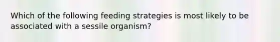 Which of the following feeding strategies is most likely to be associated with a sessile organism?