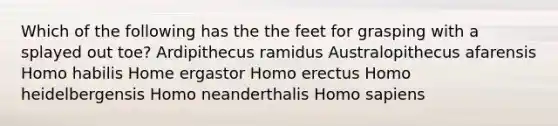 Which of the following has the the feet for grasping with a splayed out toe? Ardipithecus ramidus Australopithecus afarensis Homo habilis Home ergastor Homo erectus Homo heidelbergensis Homo neanderthalis Homo sapiens