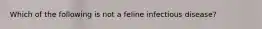 Which of the following is not a feline infectious disease?