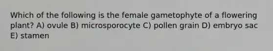 Which of the following is the female gametophyte of a flowering plant? A) ovule B) microsporocyte C) pollen grain D) embryo sac E) stamen