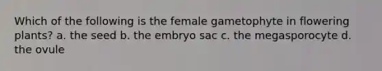 Which of the following is the female gametophyte in flowering plants? a. the seed b. the embryo sac c. the megasporocyte d. the ovule