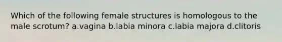 Which of the following female structures is homologous to the male scrotum? a.vagina b.labia minora c.labia majora d.clitoris