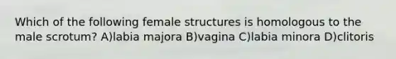 Which of the following female structures is homologous to the male scrotum? A)labia majora B)vagina C)labia minora D)clitoris