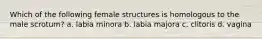 Which of the following female structures is homologous to the male scrotum? a. labia minora b. labia majora c. clitoris d. vagina