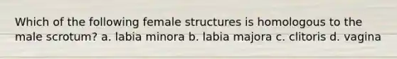 Which of the following female structures is homologous to the male scrotum? a. labia minora b. labia majora c. clitoris d. vagina