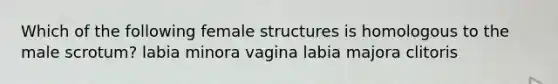 Which of the following female structures is homologous to the male scrotum? labia minora vagina labia majora clitoris