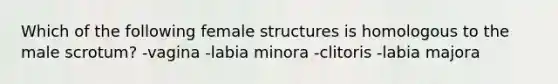 Which of the following female structures is homologous to the male scrotum? -vagina -labia minora -clitoris -labia majora