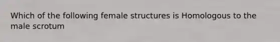 Which of the following female structures is Homologous to the male scrotum