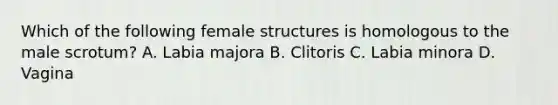 Which of the following female structures is homologous to the male scrotum? A. Labia majora B. Clitoris C. Labia minora D. Vagina