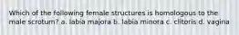 Which of the following female structures is homologous to the male scrotum? a. labia majora b. labia minora c. clitoris d. vagina