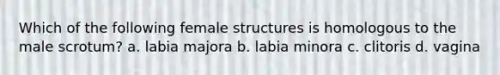 Which of the following female structures is homologous to the male scrotum? a. labia majora b. labia minora c. clitoris d. vagina