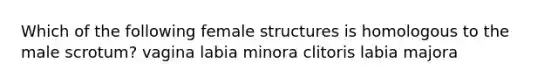 Which of the following female structures is homologous to the male scrotum? vagina labia minora clitoris labia majora