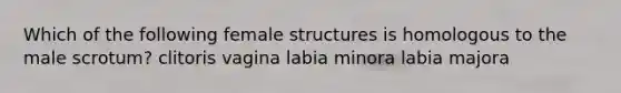 Which of the following female structures is homologous to the male scrotum? clitoris vagina labia minora labia majora