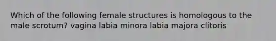 Which of the following female structures is homologous to the male scrotum? vagina labia minora labia majora clitoris