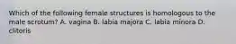 Which of the following female structures is homologous to the male scrotum? A. vagina B. labia majora C. labia minora D. clitoris