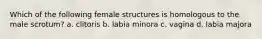 Which of the following female structures is homologous to the male scrotum? a. clitoris b. labia minora c. vagina d. labia majora