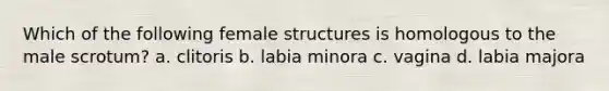 Which of the following female structures is homologous to the male scrotum? a. clitoris b. labia minora c. vagina d. labia majora