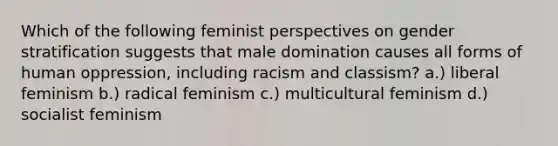 Which of the following feminist perspectives on gender stratification suggests that male domination causes all forms of human oppression, including racism and classism? a.) liberal feminism b.) radical feminism c.) multicultural feminism d.) socialist feminism