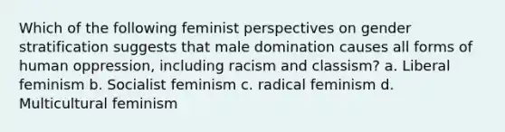 Which of the following feminist perspectives on gender stratification suggests that male domination causes all forms of human oppression, including racism and classism? a. Liberal feminism b. Socialist feminism c. radical feminism d. Multicultural feminism