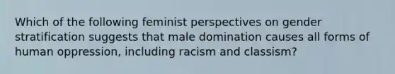 Which of the following feminist perspectives on gender stratification suggests that male domination causes all forms of human oppression, including racism and classism?