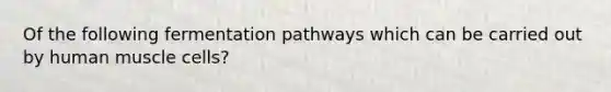 Of the following fermentation pathways which can be carried out by human muscle cells?