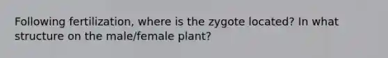 Following fertilization, where is the zygote located? In what structure on the male/female plant?