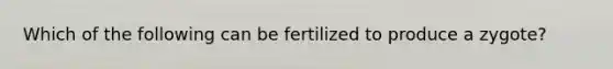 Which of the following can be fertilized to produce a zygote?