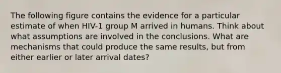 The following figure contains the evidence for a particular estimate of when HIV-1 group M arrived in humans. Think about what assumptions are involved in the conclusions. What are mechanisms that could produce the same results, but from either earlier or later arrival dates?