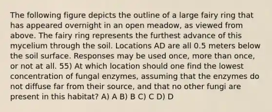 The following figure depicts the outline of a large fairy ring that has appeared overnight in an open meadow, as viewed from above. The fairy ring represents the furthest advance of this mycelium through the soil. Locations AD are all 0.5 meters below the soil surface. Responses may be used once, more than once, or not at all. 55) At which location should one find the lowest concentration of fungal enzymes, assuming that the enzymes do not diffuse far from their source, and that no other fungi are present in this habitat? A) A B) B C) C D) D