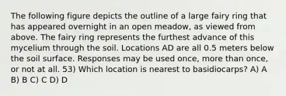 The following figure depicts the outline of a large fairy ring that has appeared overnight in an open meadow, as viewed from above. The fairy ring represents the furthest advance of this mycelium through the soil. Locations AD are all 0.5 meters below the soil surface. Responses may be used once, more than once, or not at all. 53) Which location is nearest to basidiocarps? A) A B) B C) C D) D