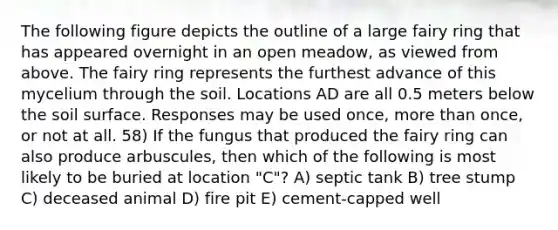 The following figure depicts the outline of a large fairy ring that has appeared overnight in an open meadow, as viewed from above. The fairy ring represents the furthest advance of this mycelium through the soil. Locations AD are all 0.5 meters below the soil surface. Responses may be used once, more than once, or not at all. 58) If the fungus that produced the fairy ring can also produce arbuscules, then which of the following is most likely to be buried at location "C"? A) septic tank B) tree stump C) deceased animal D) fire pit E) cement-capped well
