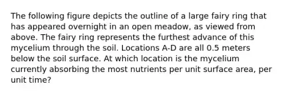 The following figure depicts the outline of a large fairy ring that has appeared overnight in an open meadow, as viewed from above. The fairy ring represents the furthest advance of this mycelium through the soil. Locations A-D are all 0.5 meters below the soil surface. At which location is the mycelium currently absorbing the most nutrients per unit surface area, per unit time?